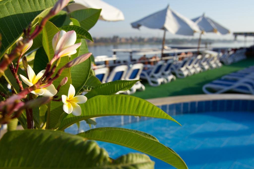 WhatsApp Image 2026-01-15 at 1.57.35 AM (1)